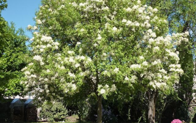Appartamenti Il Giardino Alberato
