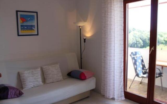 Apartment Iva