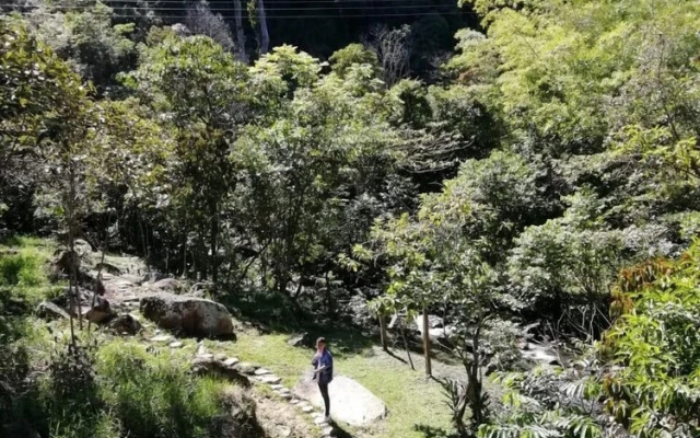 Finca Ecolodges El Ocelote