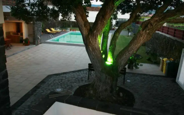 Casa da Árvore