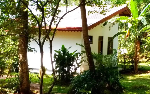 Yoho Lavonrich Bungalow