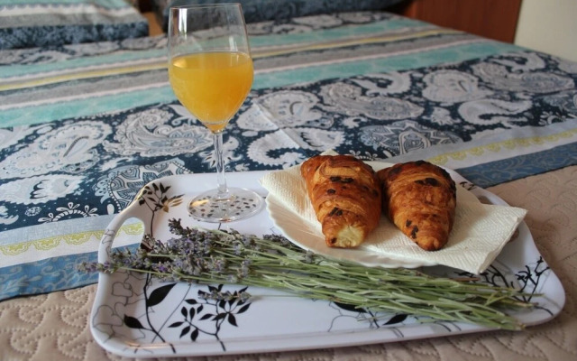 Ružica - 50m From the sea - A3-orhideja