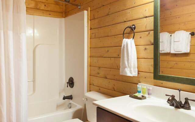 Shenandoah Wilderness Traveler