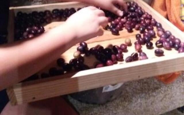 Refúgio da Casa de Campo dos Távoras