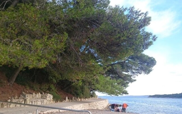 Ninko - Comfortable - A1