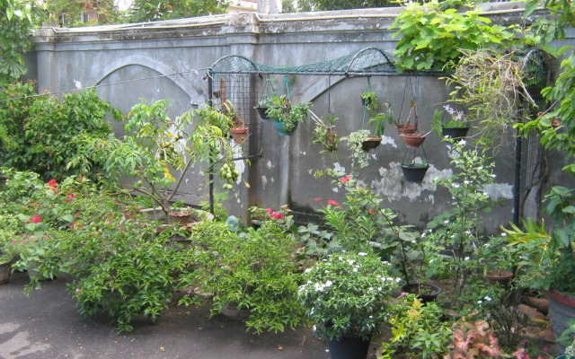 Zen Rooms Main Street Negombo