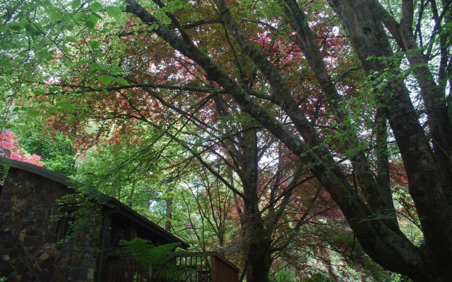 Rocky Creek Art Garden B&B