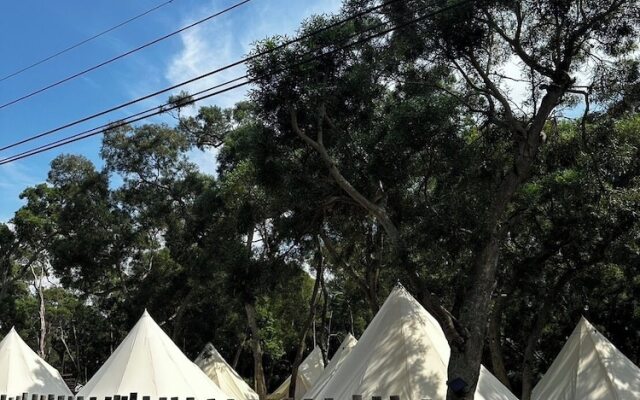Touching camping