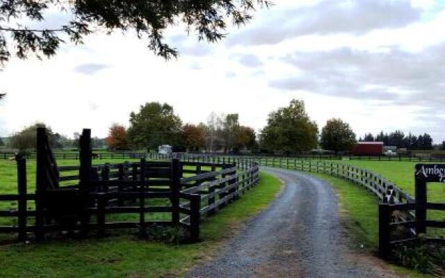 Amberfields Bed and Breakfast