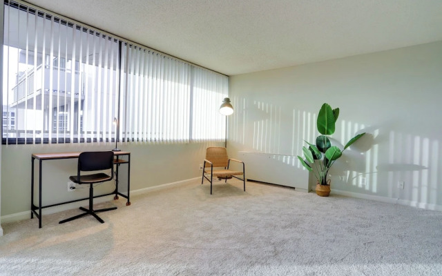 Modern Spacious Apt Crystal City