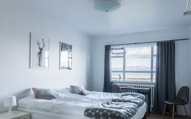 Puffin Palace Guesthouse
