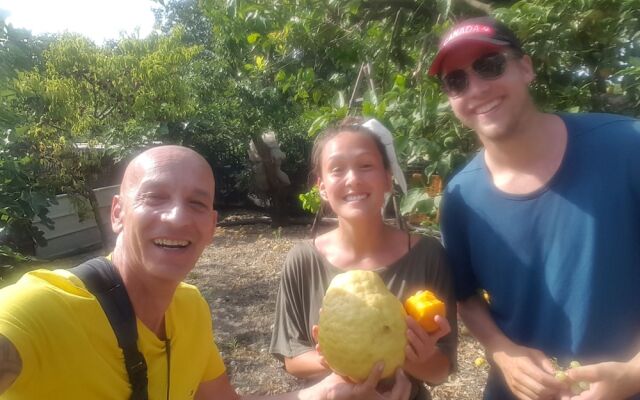 Made in Naples Apartment