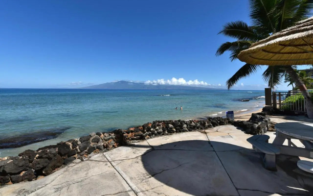 Kaleialoha 401