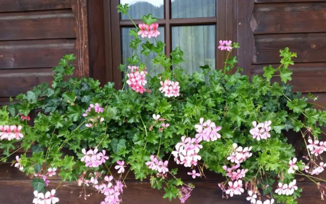 Landhaus Weißer Hirsch