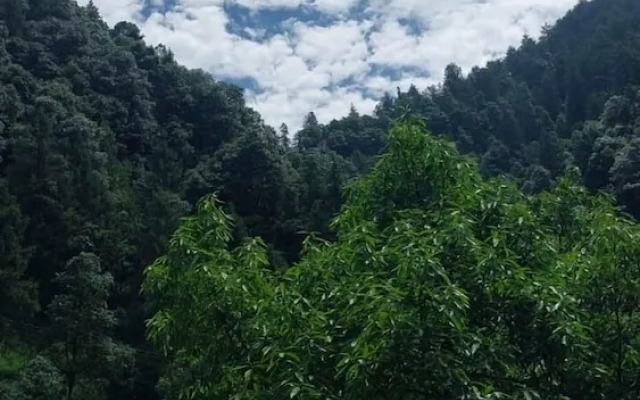 Hotel paradise hills