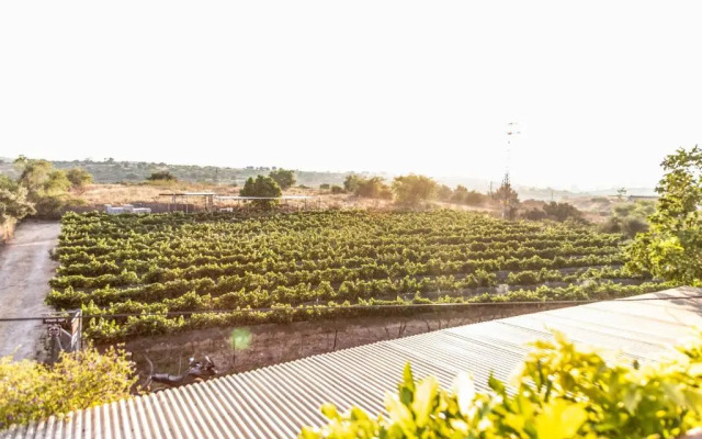 Mettler Winery