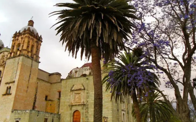 Casa de Mezcal