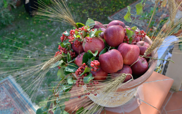 Country House Araba Phoenix