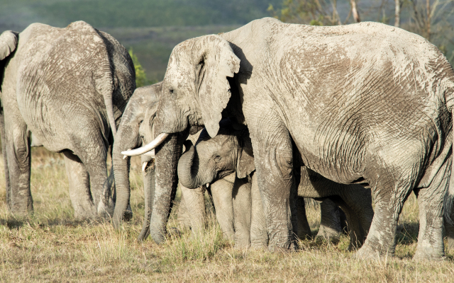 Gondwana Game Reserve