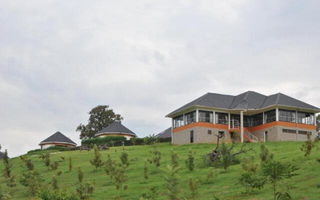 The Crested Crane Bwindi