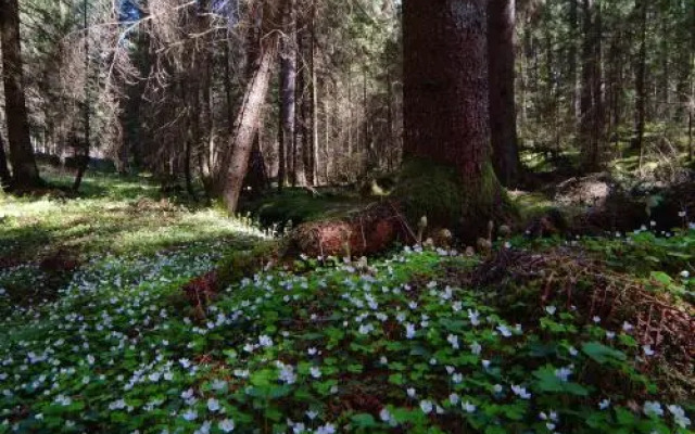Residence Vis à Vis