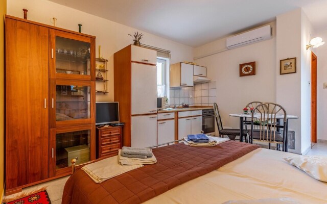 Nice Apartment in Liznjan With