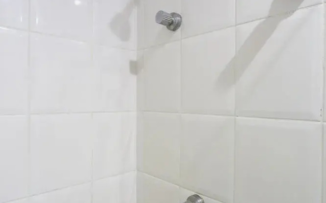 ZEN Premium Moema Anapurus