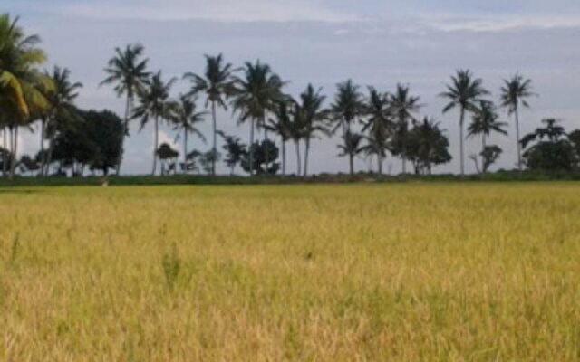 Village Corner Homestay