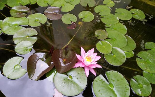 L'OZioRinco Apartments