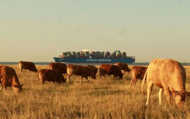 Seeperle Modern Retreat