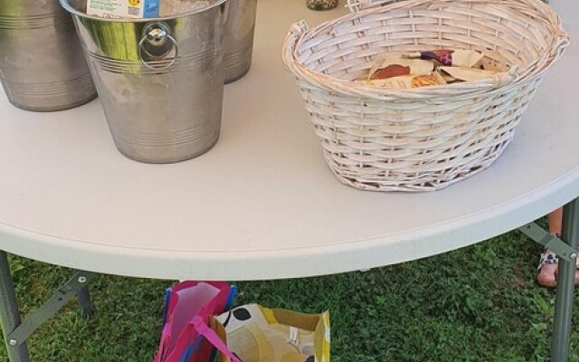 Glamping With Llamas