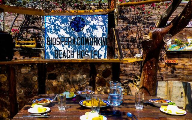 Biosfera Coworking Beach Hostel