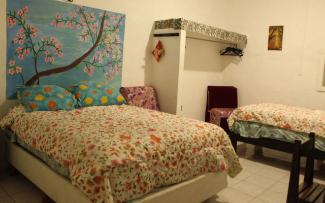 La Casa del Árbol Cancun