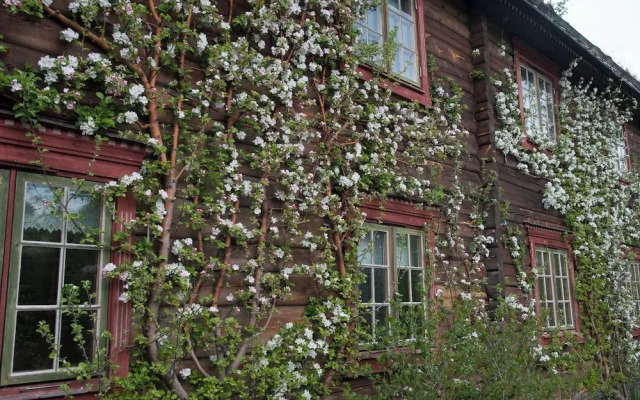 Saga Trollheimen Hotel