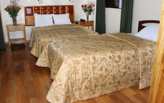 Hotel Le Mans