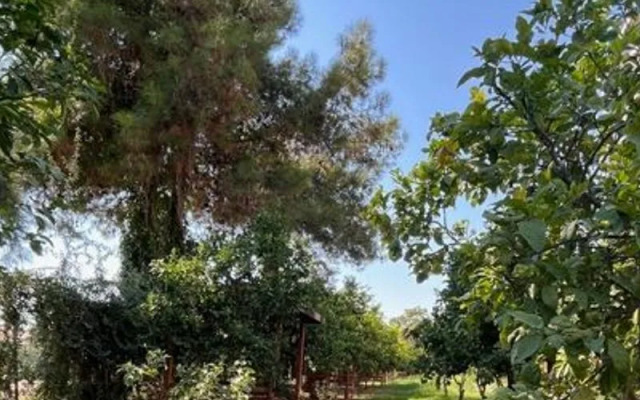 Mersin Panorama Otel