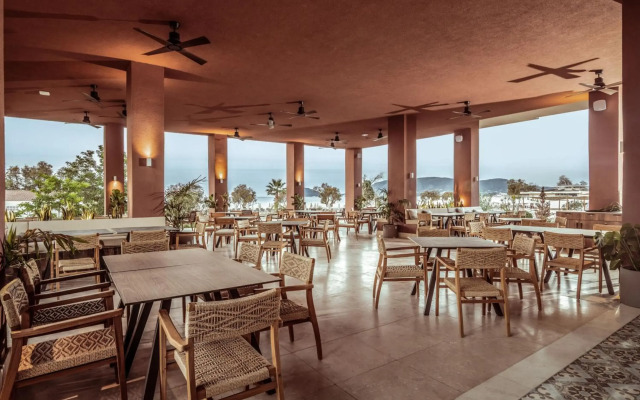 Domes Aulus Zante, Autograph Collection