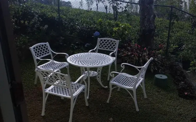 Miselly's Bangalow Hostel