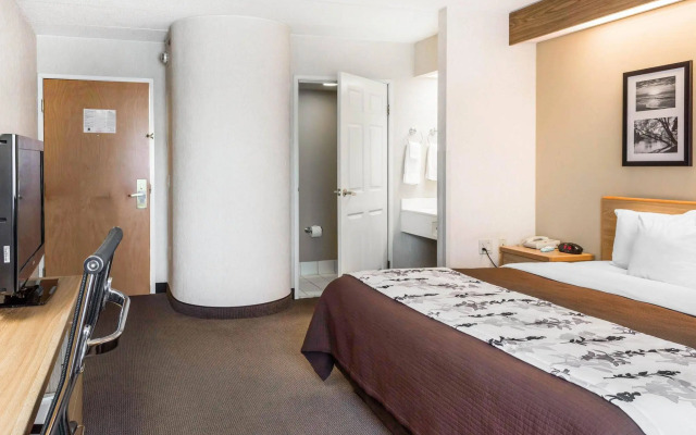 Spark by Hilton Lynchburg