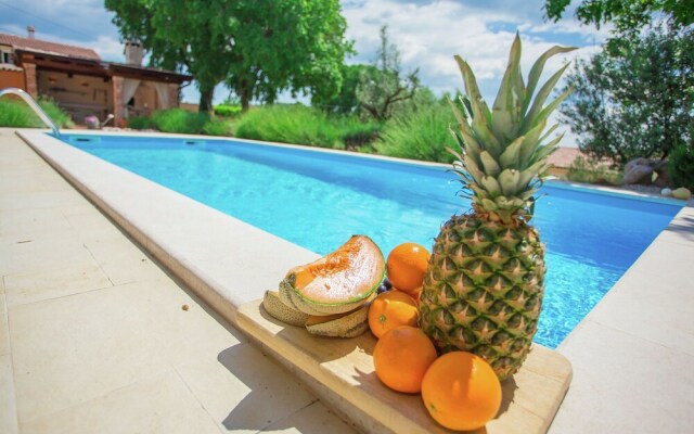 Rustic Villa in Dracevac With Outdoor Pool