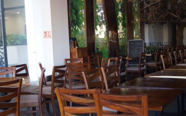 Nayri Life & Spa Studio