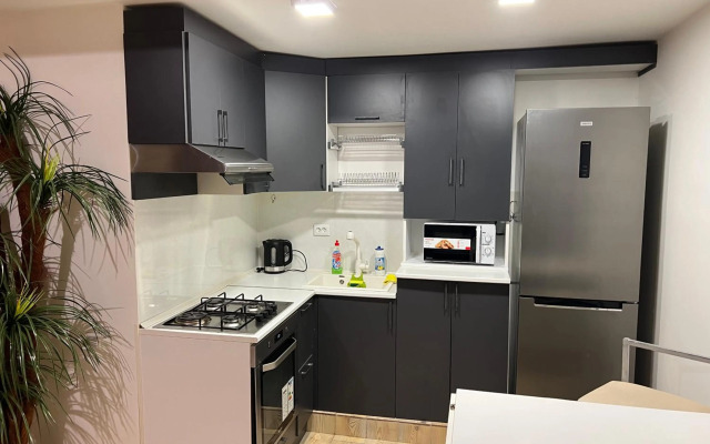 Европейский dublex красивая квартира на улице Комитаса