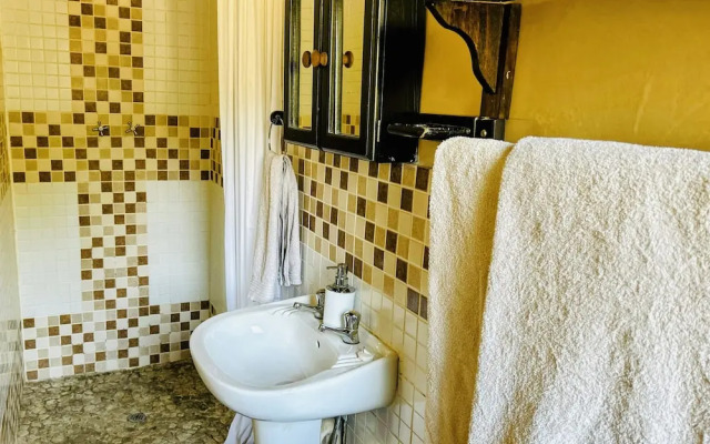 Leadwood Tree Safari Lodge