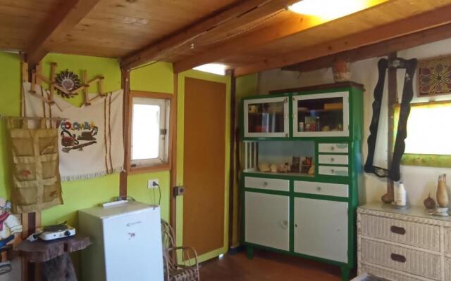 Casetta sull'Albero, Girasole