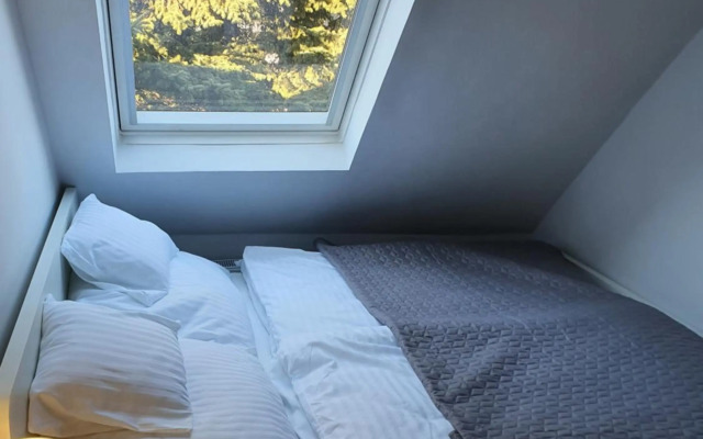 Zöld Relax Apartments