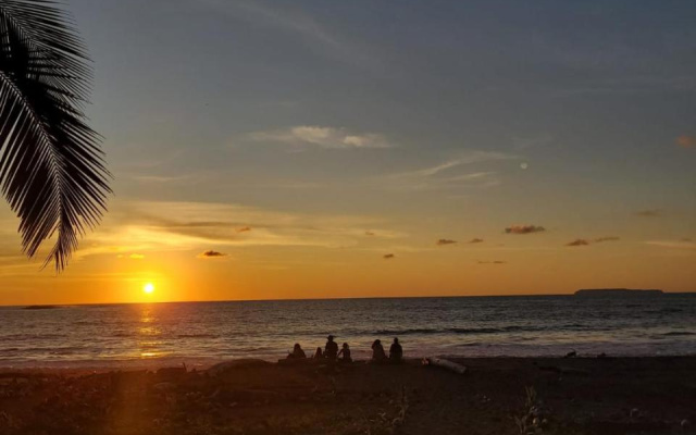 Life for Life Sea Turtle Conservation And Lodging