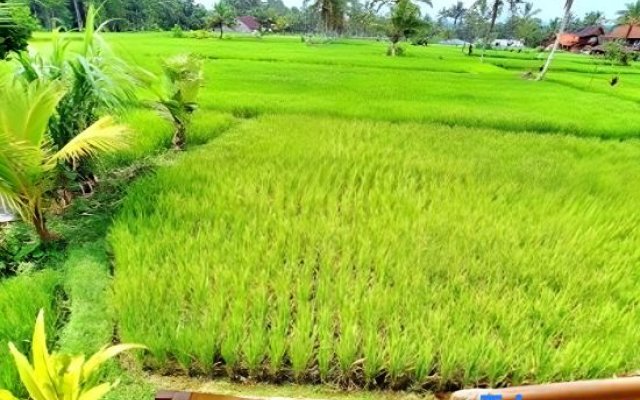 Lumbung Langit Bali House And Hostel