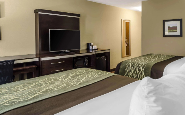 Comfort Inn & Suites Dothan East
