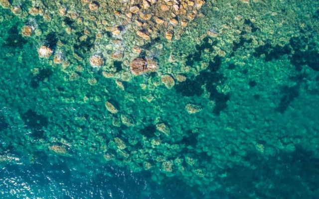 Azienda Agricola Club Le Cannelle