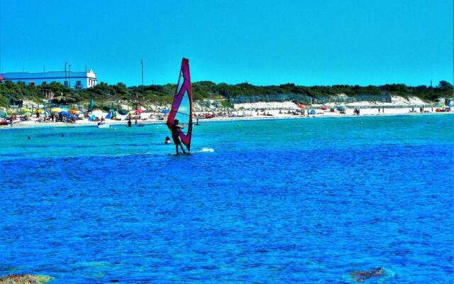 Pineta Spiaggia Grande 2